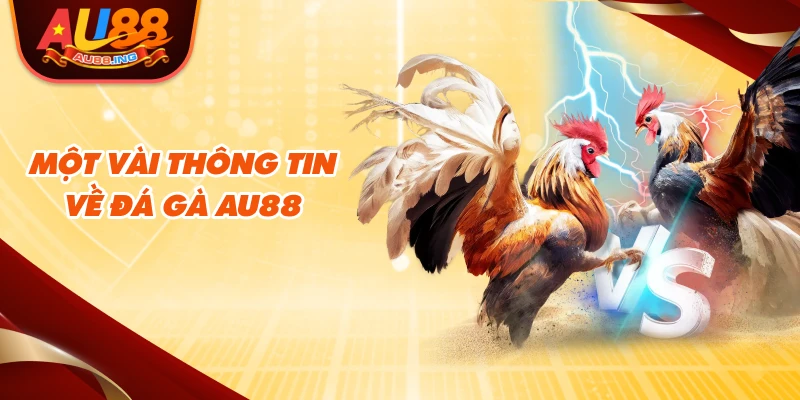 Một vài thông tin về đá gà AU88